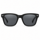 Black tint / black frame